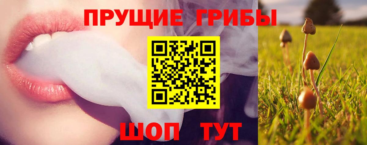 Шарыпово  купить наркотик  Галлюциногенные грибы Psilocybe  Вход с VPN  Галлюциногенные грибы Magic Shrooms 